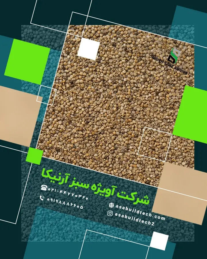 بافت نزدیک پوشش الگان استون آسا مشابه سنگ طبیعی